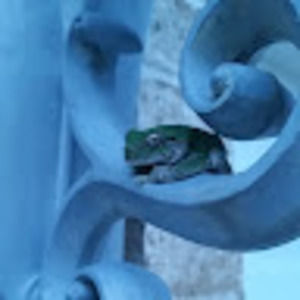 Meet your Posher, M.